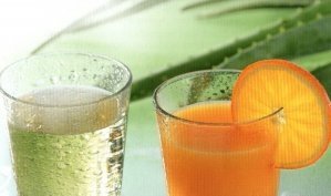 Aloe Vera koktejly | Elershop.cz